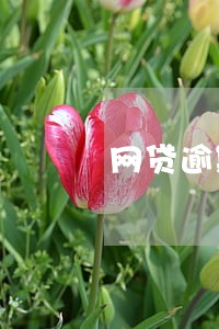 网贷逾期结清以后可以申请买车吗 网贷逾期结清以后可以申请买车吗
