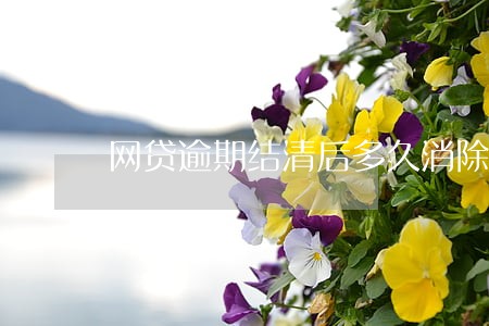 网贷逾期结清后多久消除 网贷逾期结清后多久消除