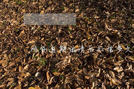 网贷逾期结清后征信多久更新 网贷逾期结清后征信多久更新