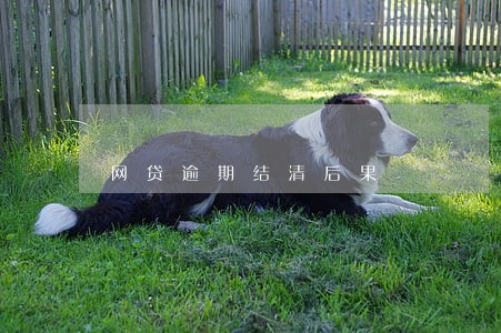 网贷逾期结清后果 网贷逾期结清后果