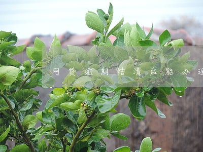 网贷逾期结清后能办理车贷吗