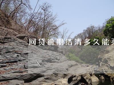 网贷逾期结清多久能买房 网贷逾期结清多久能买房