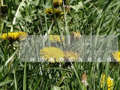 网贷逾期结清征信可以清 网贷逾期结清征信可以清