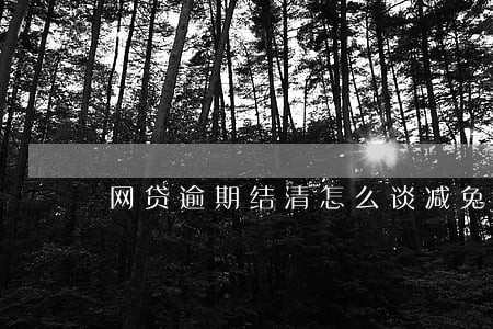 网贷逾期结清怎么谈减免 网贷逾期结清怎么谈减免