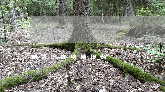 网贷逾期结清视频
