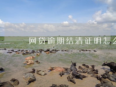 网贷逾期结清证明怎么开 网贷逾期结清证明怎么开