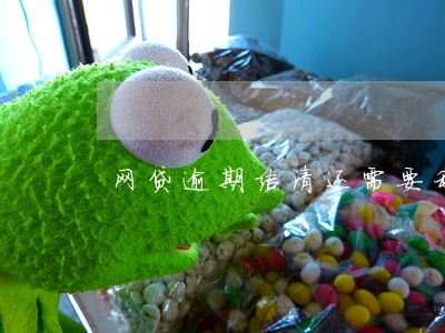 网贷逾期结清还需要利息 网贷逾期结清还需要利息