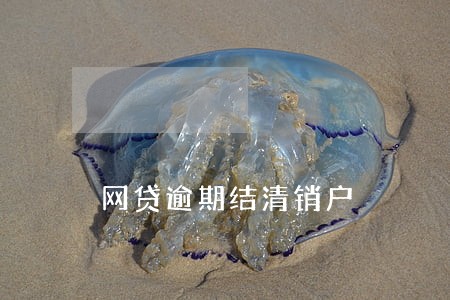 网贷逾期结清销户 网贷逾期结清销户