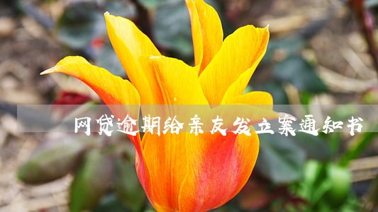 网贷逾期给亲友发立案通知书 网贷逾期给亲友发立案通知书