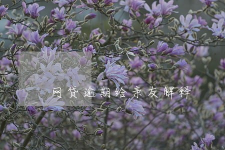 网贷逾期给亲友解释 网贷逾期给亲友解释