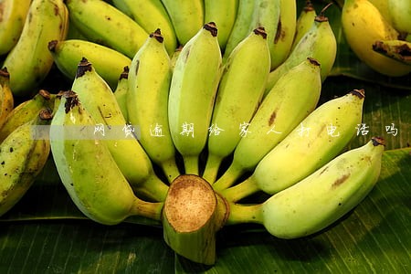 网贷逾期给家人打电话吗 网贷逾期给家人打电话吗