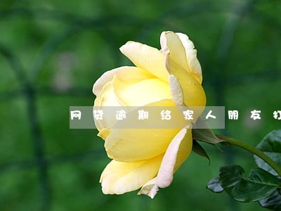 网贷逾期给家人朋友打电话怎么办 网贷逾期给家人朋友打电话怎么办