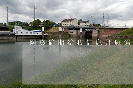 网贷逾期给我信息开庭通告