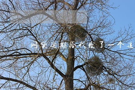 网贷逾期给我发了一个追责通告 网贷逾期给我发了一个追责通告