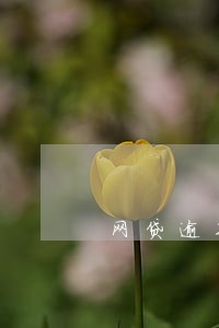 网贷逾期给我发了起诉函 网贷逾期给我发了起诉函