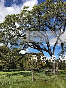 网贷逾期给我发案前告知怎么办 网贷逾期给我发案前告知怎么办