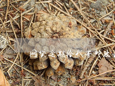 网贷逾期给我寄邮政快件 网贷逾期给我寄邮政快件