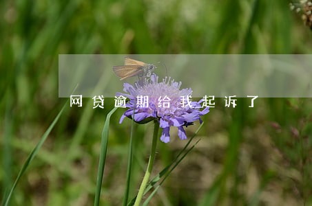 网贷逾期给我起诉了 网贷逾期给我起诉了