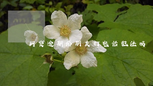 网贷逾期给朋友打电话犯法吗 网贷逾期给朋友打电话犯法吗