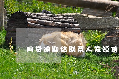 网贷逾期给联系人发短信骂人 网贷逾期给联系人发短信骂人