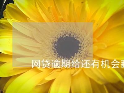 网贷逾期给还有机会翻身的