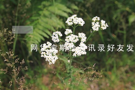 网贷逾期给通讯录好友发信息 网贷逾期给通讯录好友发信息