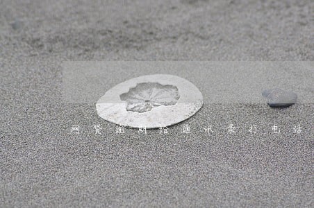 网贷逾期给通讯录打电话吗 网贷逾期给通讯录打电话吗