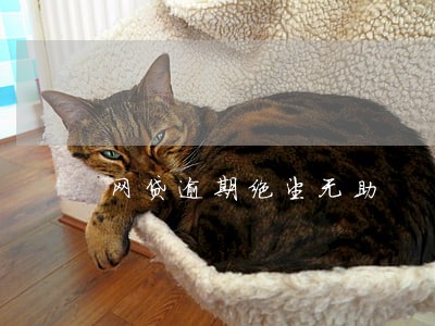 网贷逾期绝望无助 网贷逾期绝望无助
