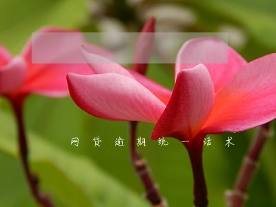 网贷逾期统一话术