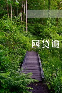 网贷逾期综合费率超过法定 网贷逾期综合费率超过法定