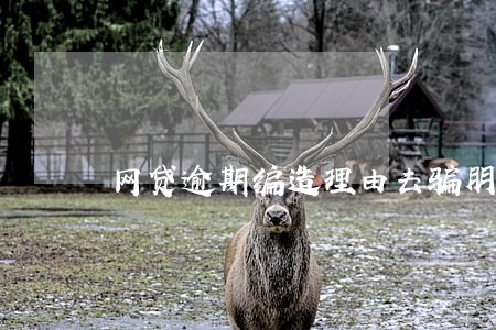 网贷逾期编造理由去骗朋友钱 网贷逾期编造理由去骗朋友钱