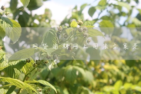 网贷逾期网上司法立案是真的吗 网贷逾期网上司法立案是真的吗