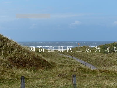 网贷逾期网上法务可以解决协商吗 网贷逾期网上法务可以解决协商吗