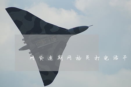 网贷逾期网格员打电话干啥 网贷逾期网格员打电话干啥
