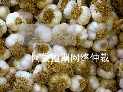 网贷逾期网络仲裁 网贷逾期网络仲裁