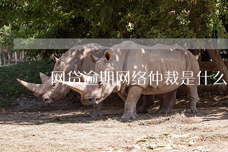 网贷逾期网络仲裁是什么 网贷逾期网络仲裁是什么