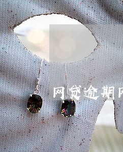 网贷逾期网络仲裁调查取证 网贷逾期网络仲裁调查取证