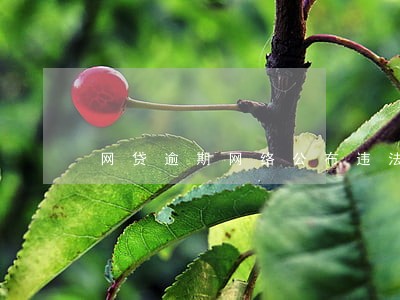 网贷逾期网络公布违法吗 网贷逾期网络公布违法吗