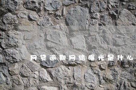 网贷逾期网络曝光是什么 网贷逾期网络曝光是什么