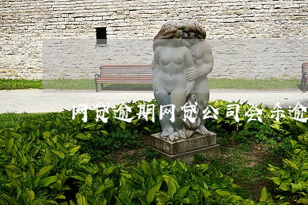 网贷逾期网贷公司会杀逾期人不 网贷逾期网贷公司会杀逾期人不
