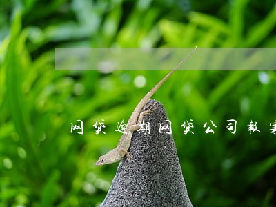 网贷逾期网贷公司报案 网贷逾期网贷公司报案