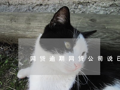 网贷逾期网贷公司说已起诉 网贷逾期网贷公司说已起诉