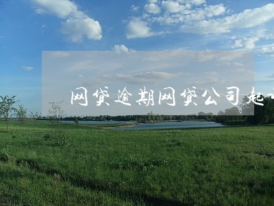 网贷逾期网贷公司起诉 网贷逾期网贷公司起诉