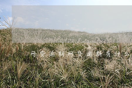 网贷逾期网贷逾期有什么后果 网贷逾期网贷逾期有什么后果