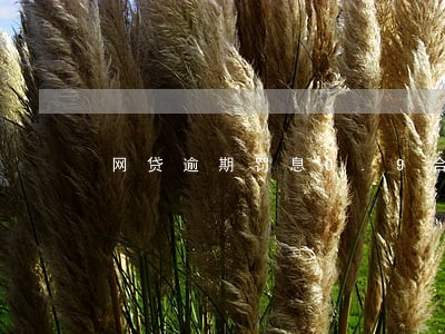 网贷逾期罚息0.9合法吗