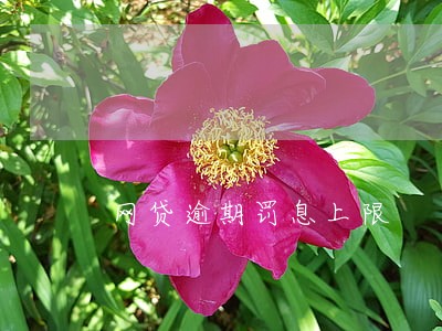 网贷逾期罚息上限 网贷逾期罚息上限