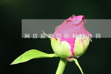 网贷逾期罚息利息计算