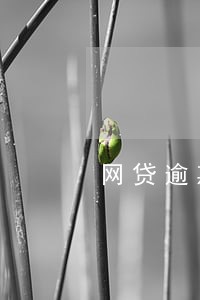 网贷逾期罚息利率标准计算 网贷逾期罚息利率标准计算