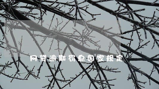 网贷逾期罚息国家规定 网贷逾期罚息国家规定