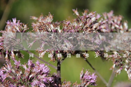 网贷逾期罚息多少算合法 网贷逾期罚息多少算合法